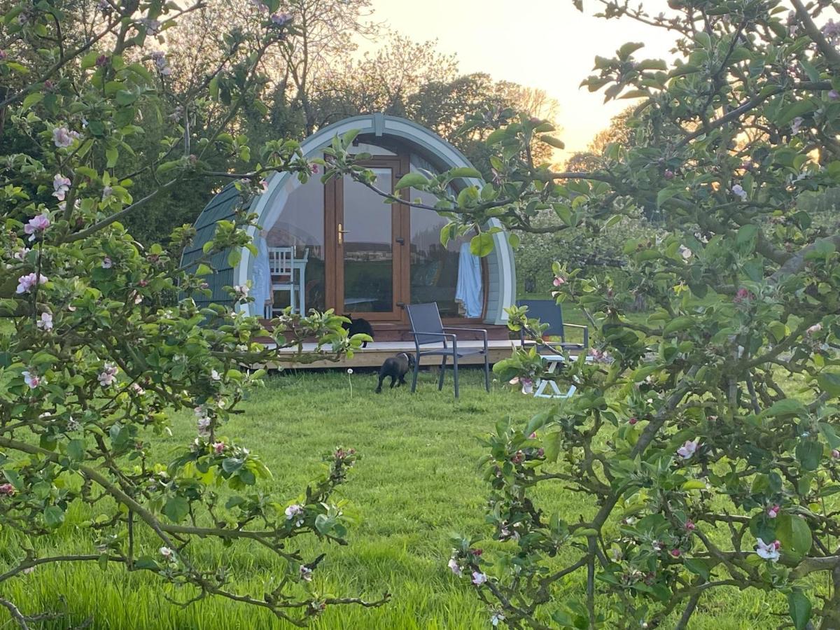 Orchard Luxe Glamping Pod Hotel Dungannon Exterior foto